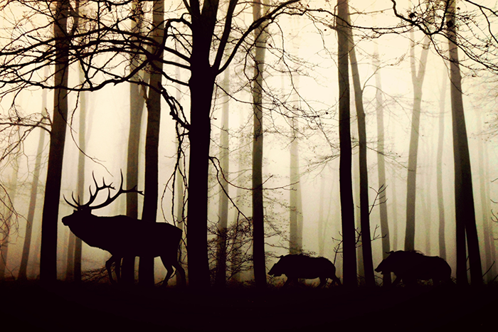 “Promises must be fulfilled” – governments urged to honour climate change commitments - Anglicannews