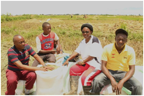 Anglican Church of Burundi helps improve rice growing techniques