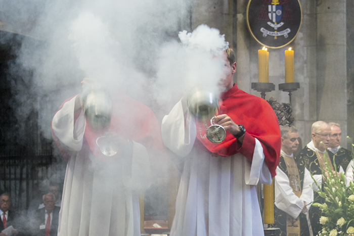 Incense in doubt as loss of Boswellia trees leads to global shortage of frankincense