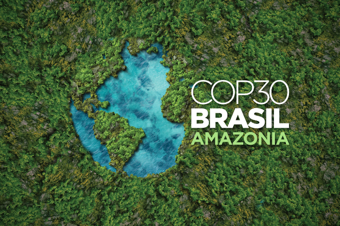 Anglicans will advocate to restore and protect the 'lungs of the earth' at COP30 in Brazil
